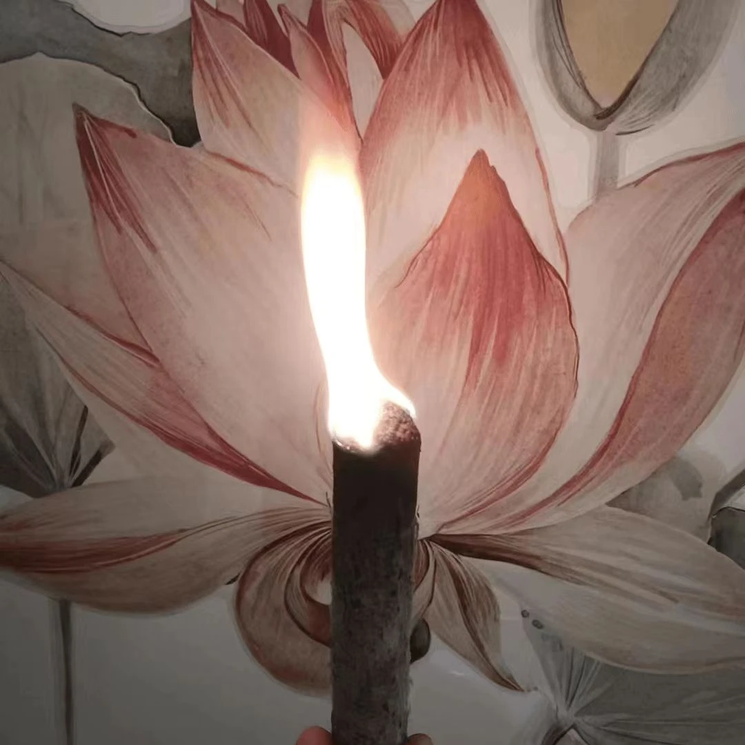 太乙灸2.0养生馆专用家居调养