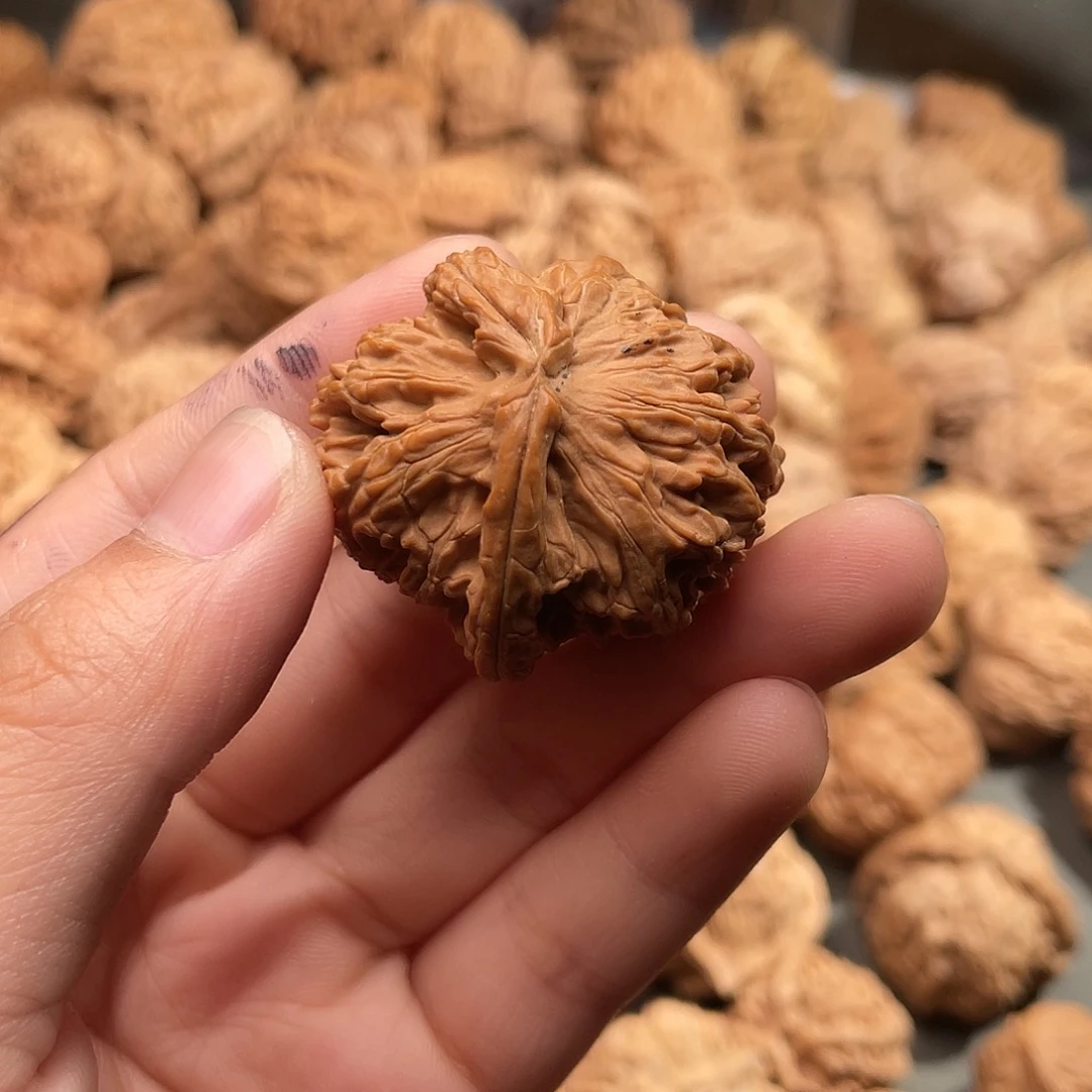 文玩核桃吊坠鱼*白狮子