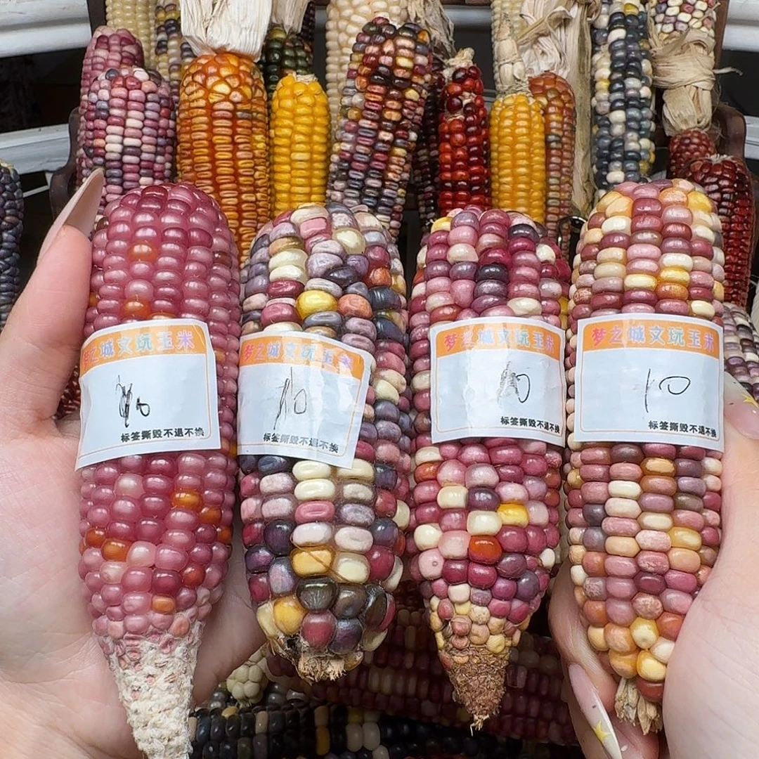 锦***鲤吊坠柏香籽/百香籽