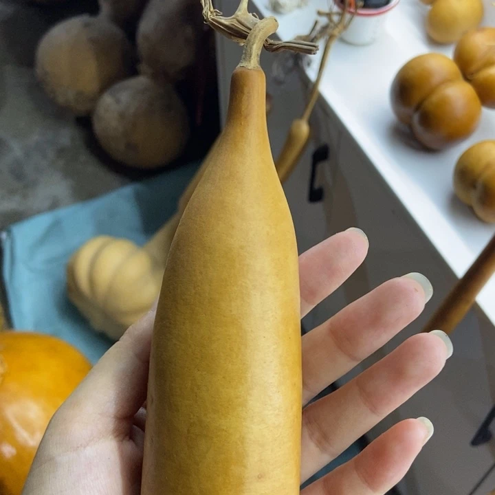 葫芦葫芦葫芦葫芦