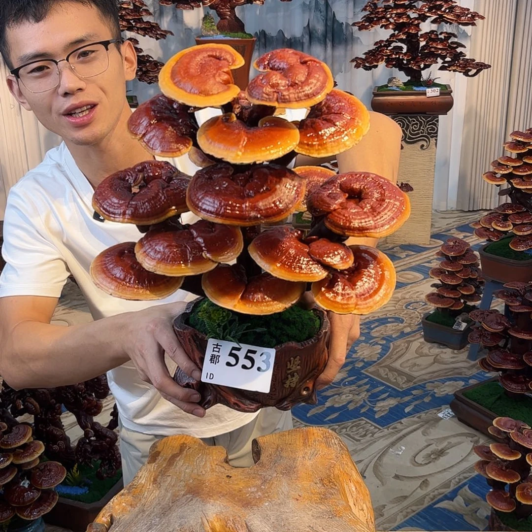 无花朵8888888888888