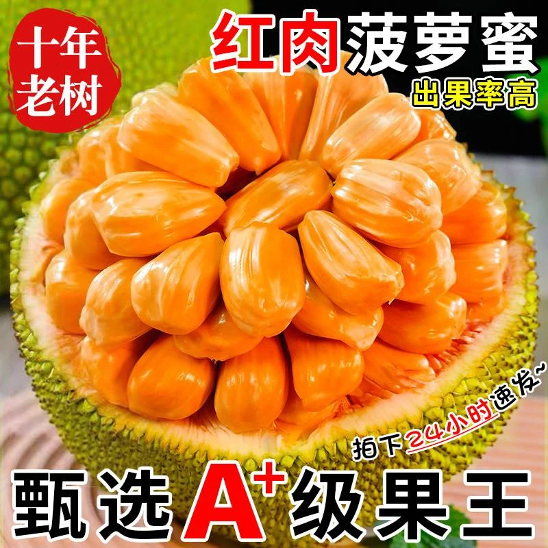 【红肉波罗蜜】【1斤果肉】新鲜水果包邮泰波罗红心菠萝蜜一当季水果