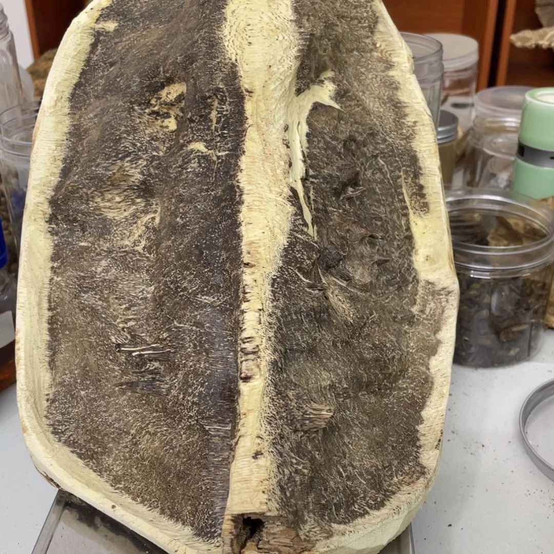 沉香摆件海南沉香熏香块料173克