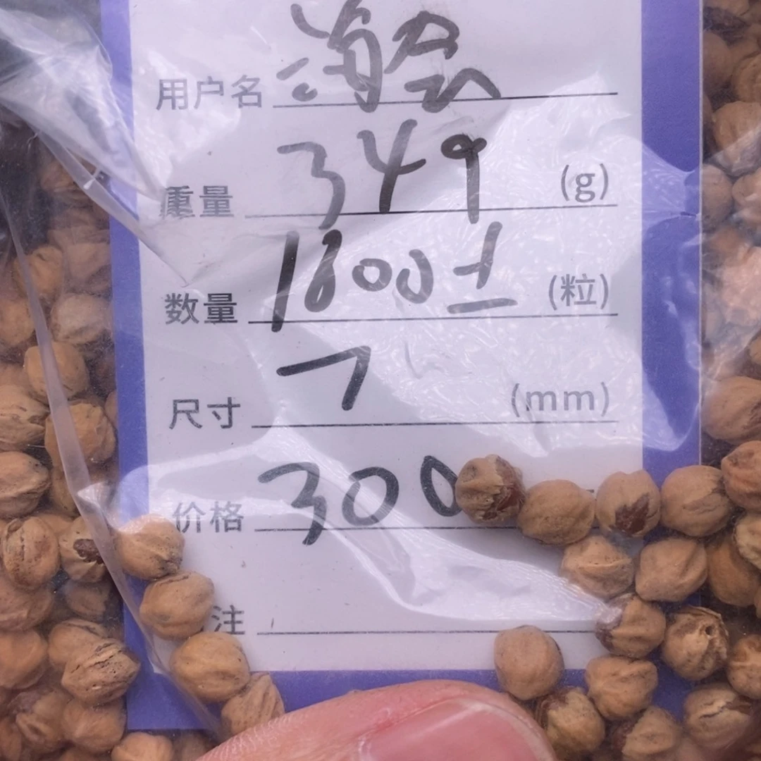 柏香籽/百香籽吊坠海*