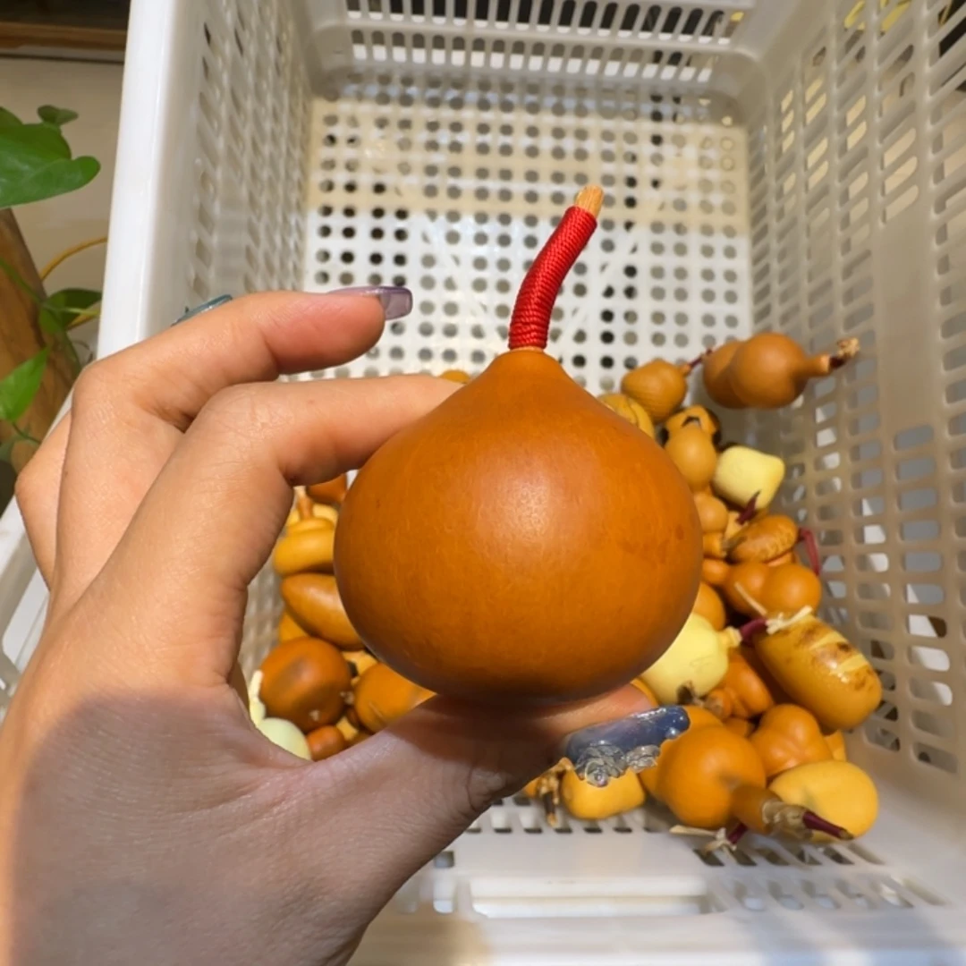 z***n哈哈哈哈哈哈哈哈哈哈