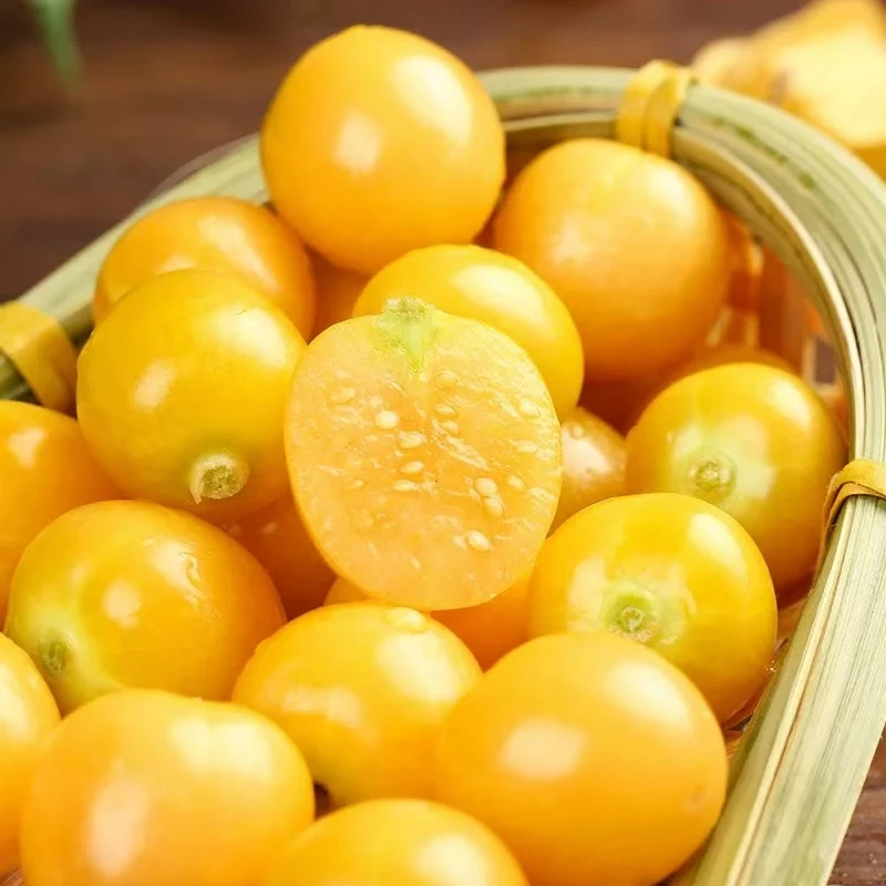 东北姑娘果新鲜采摘清甜多汁当季稀有水果灯笼果