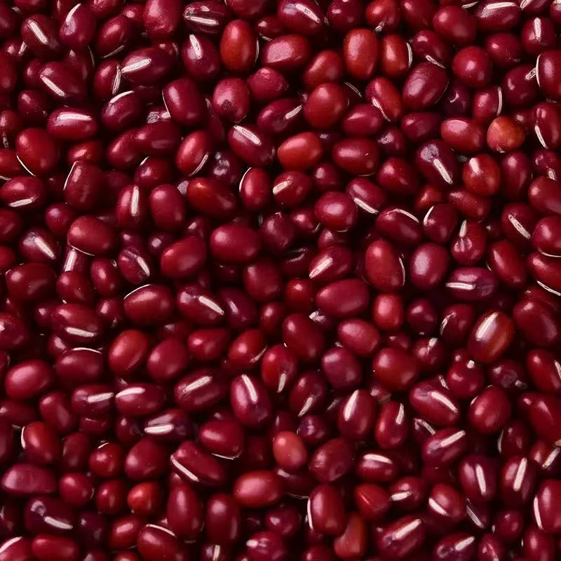 【农家红豆】恩施本地高山农家种植红豆3斤装