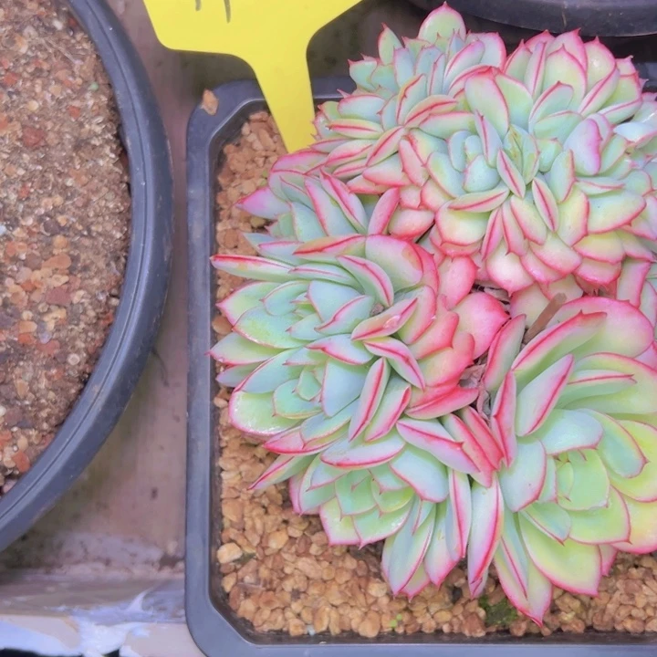 小***…14-26/////////////////