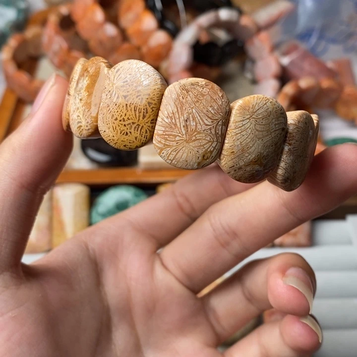 澄***然硅化玉未镶嵌珊瑚玉