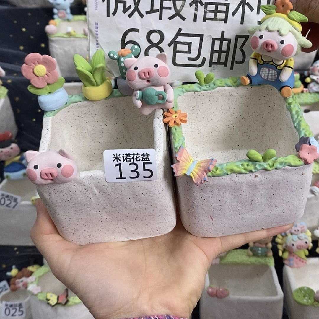 米诺多肉植物花盆135