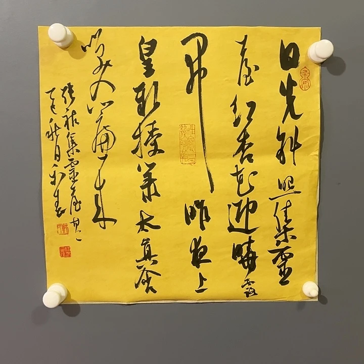 书法中书协老师作品