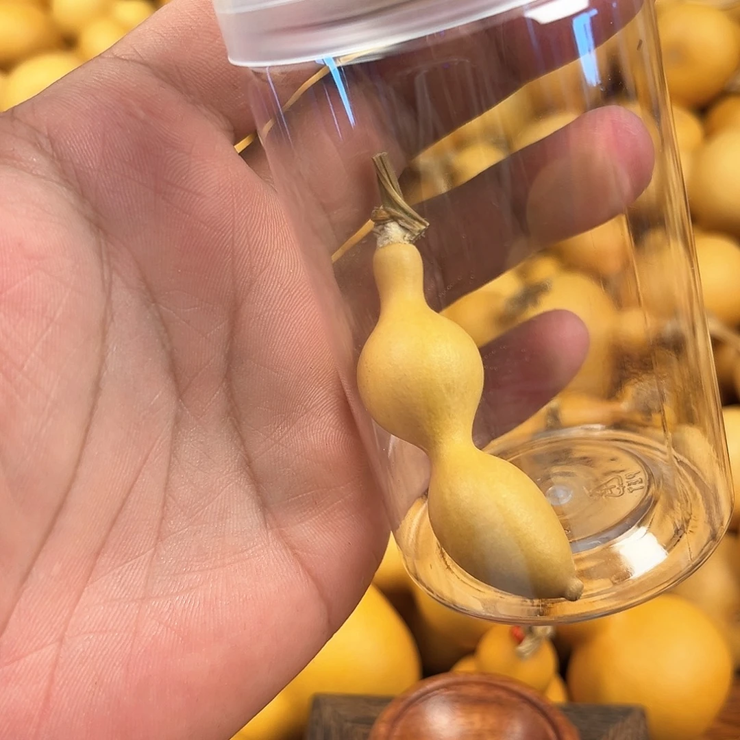 二葫芦葫芦葫芦葫芦206