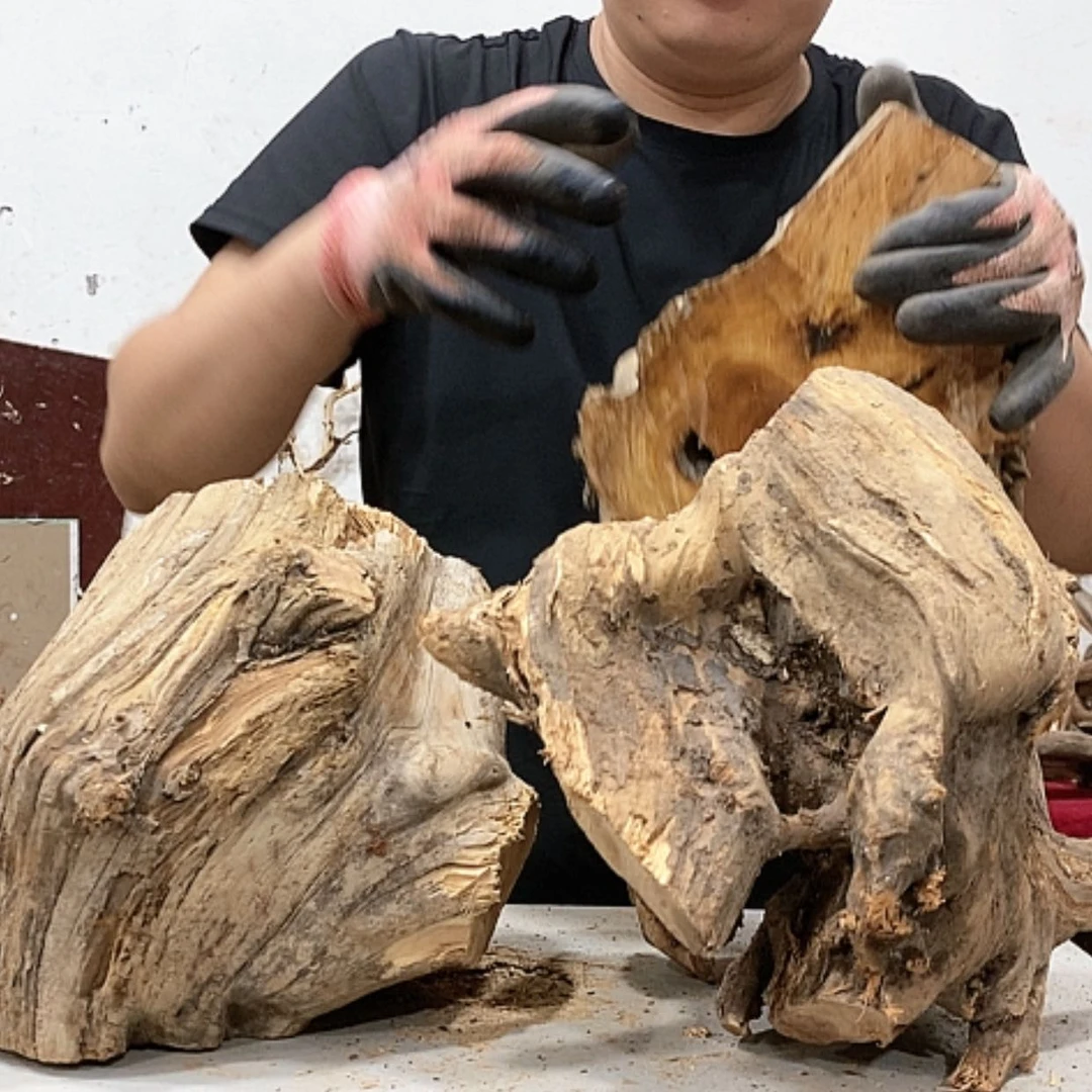 【闪购商品】柏木海*.我们都是好孩子
