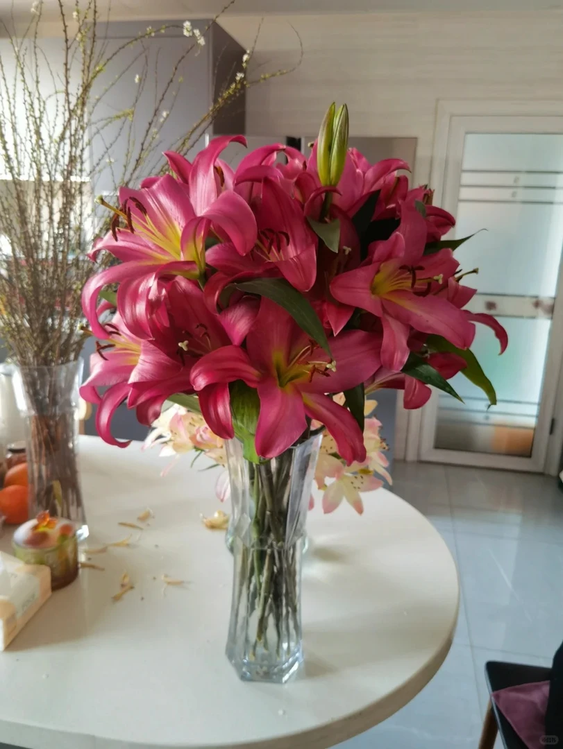 AA级严选百合-朱砂树【浓香型】顺丰冷链包邮