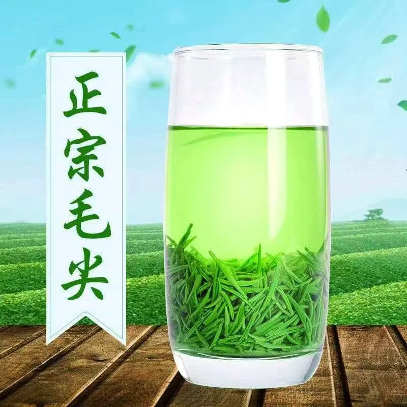 原产地2025新茶毛尖绿茶茶叶
