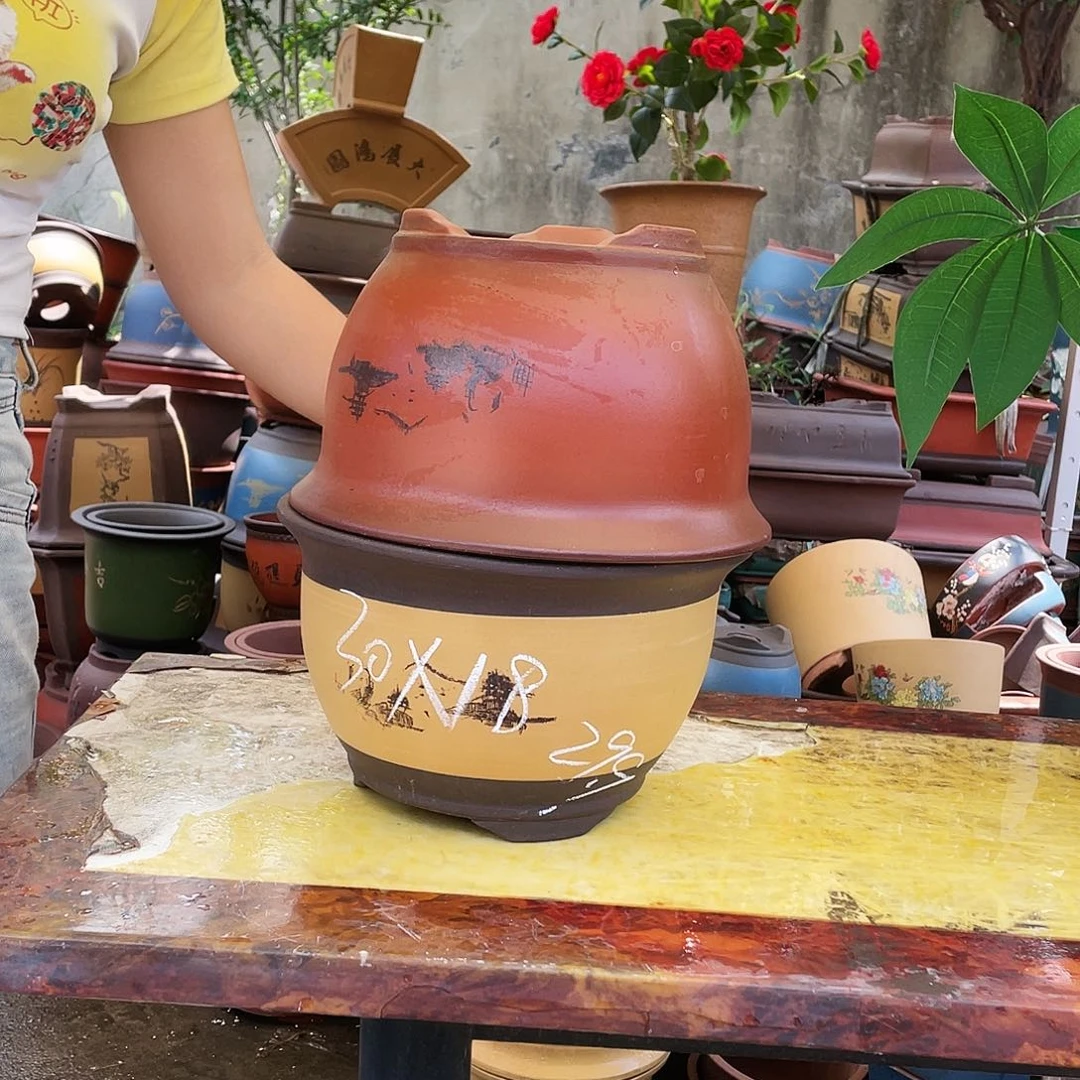 30紫气东来+003花盆花盆花盆