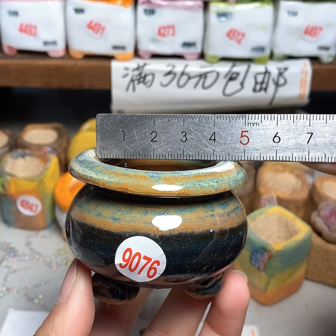 红陶拍5送一个小