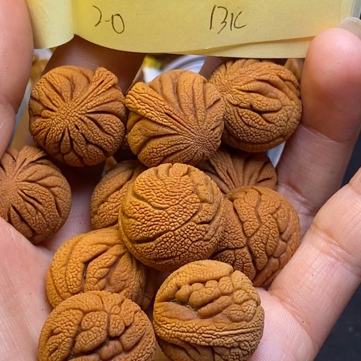 桃核吊坠秦岭龙纹桃核20尺寸