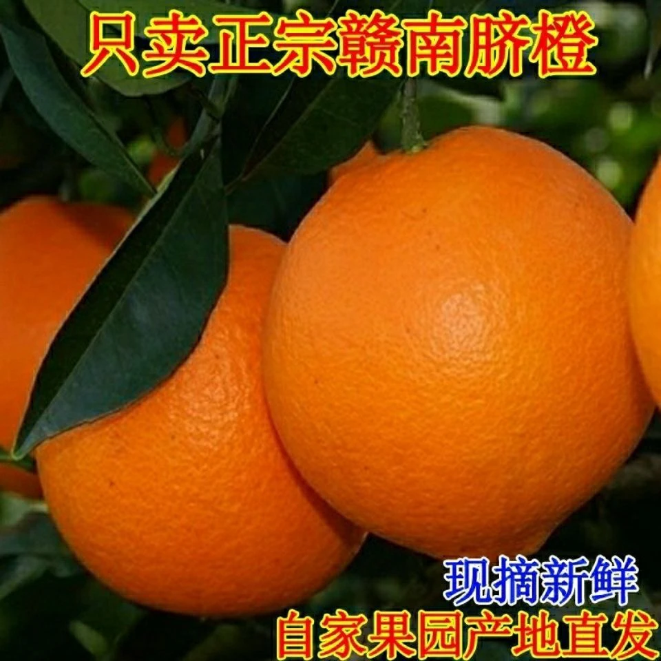 【顺丰包邮】正宗江西赣南脐橙新鲜现摘产地直发当季孕妇水果送礼