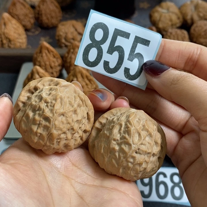 核桃855南瓜墩40新果全品