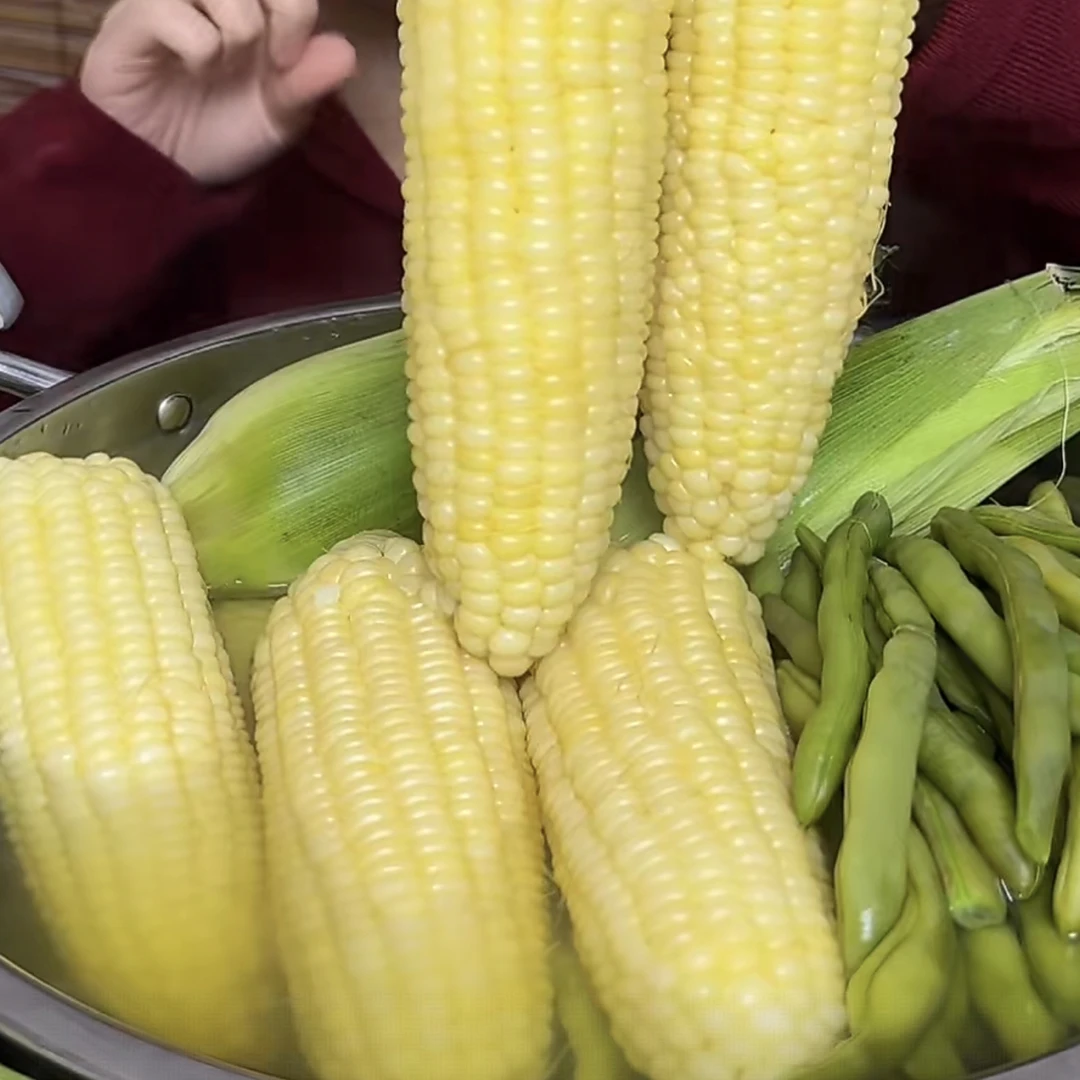 贵州露天白糯玉米嫩四季豆棒豆现摘现发新鲜泡沫箱加冰袋发货