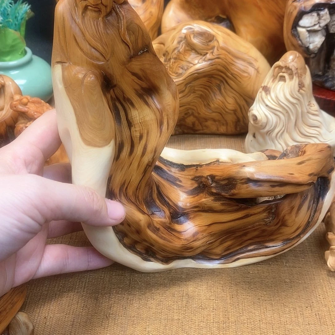 柏木（崖柏）一物一图