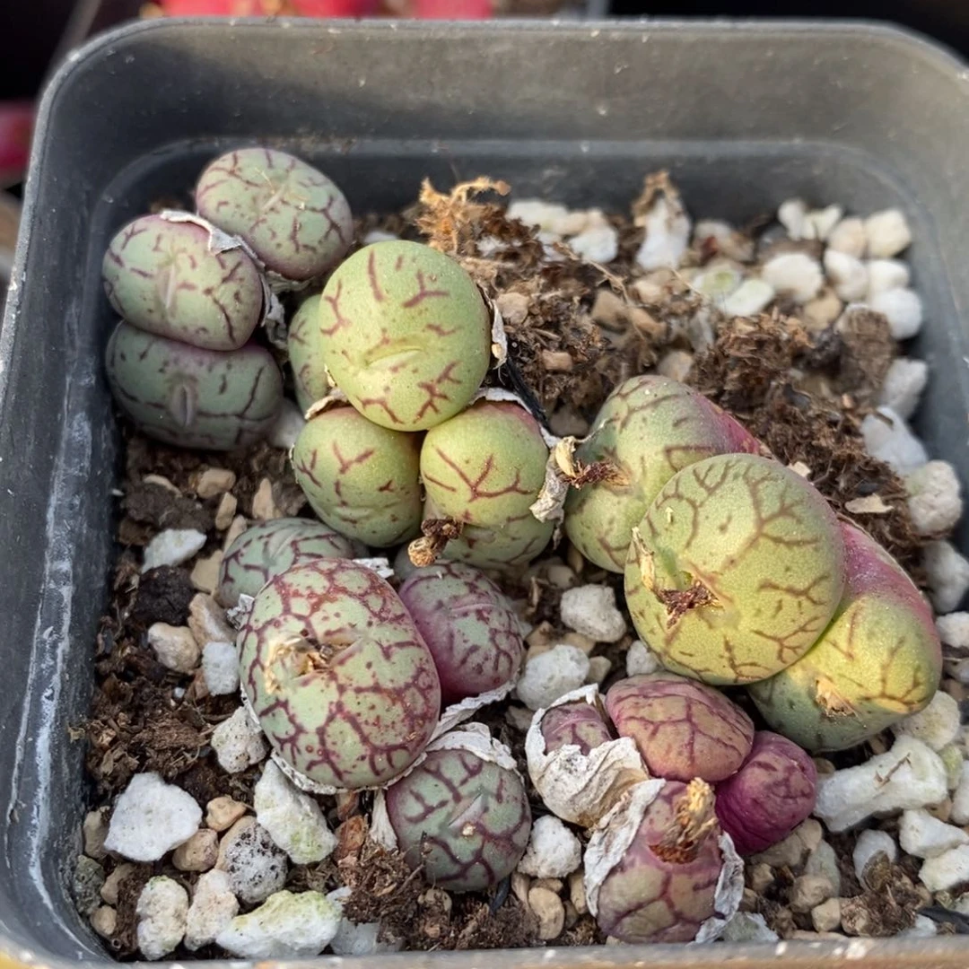 9101一组一组一组