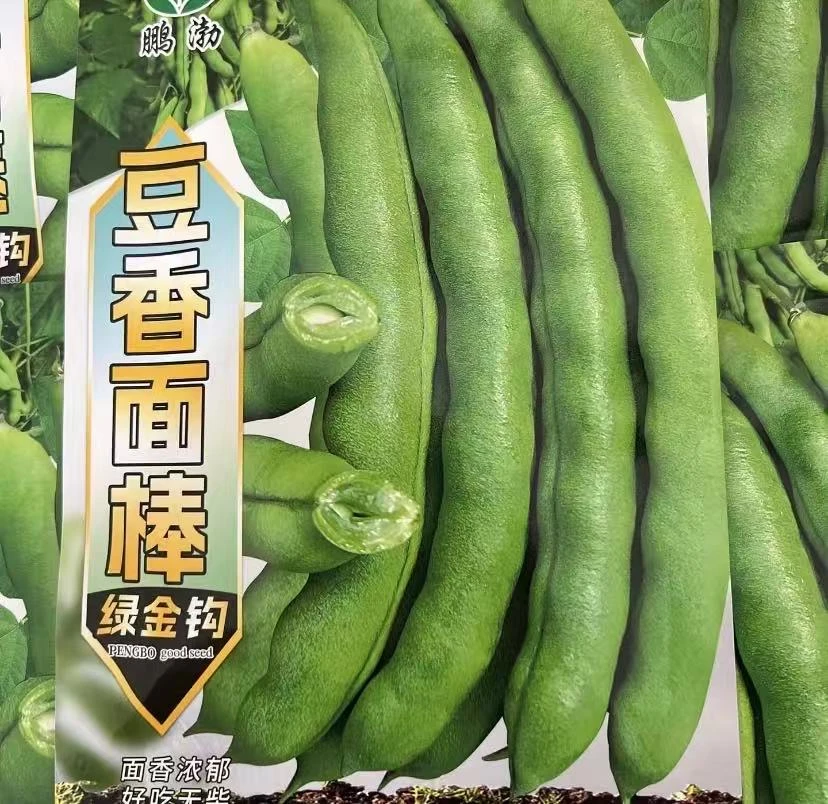 面棒豆角籽种子四季种植