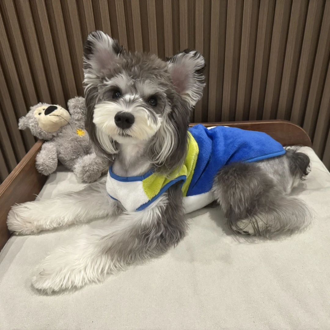 （直播链接）宠物服装外贸尾单（NO退NO换）+无运费险