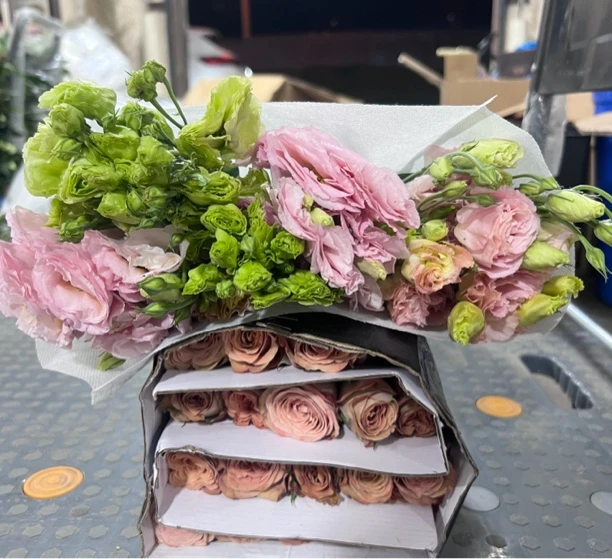 卡布奇洛玫瑰20支+混色洋桔梗1把（600g左右）+营养剂