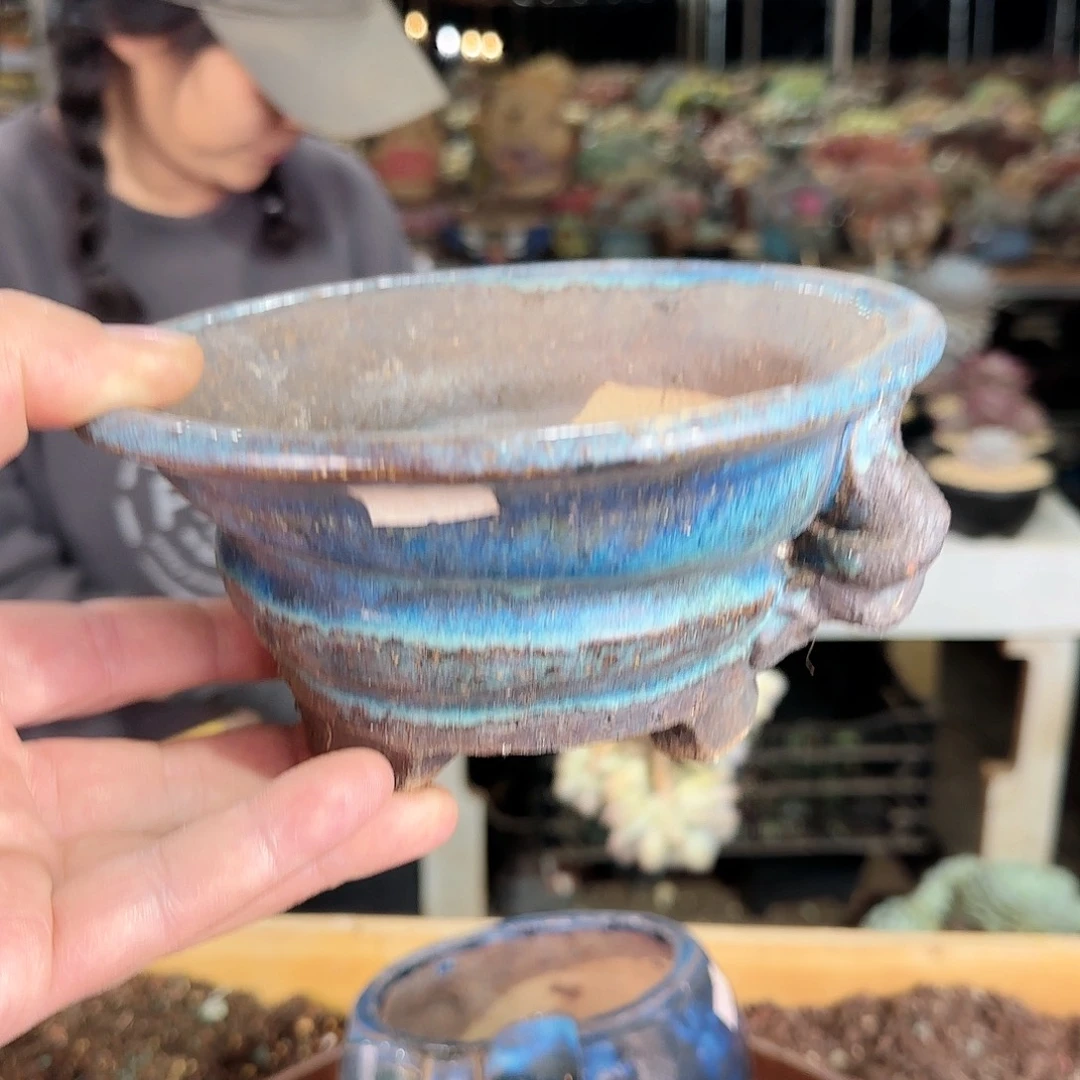 点赞，盆9.9             盆