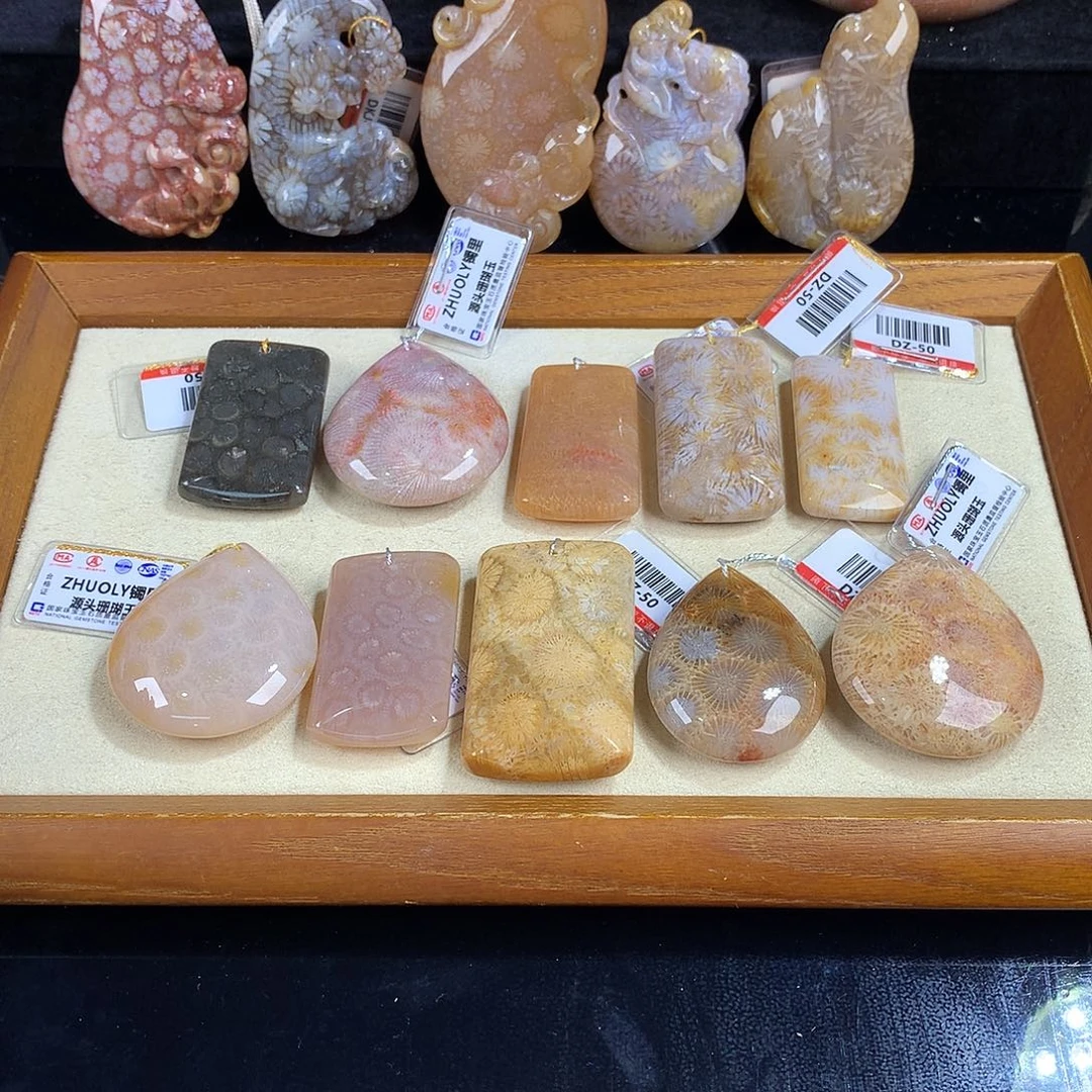 吊坠(赠链)未镶嵌硅化珊瑚（珊瑚玉）30号