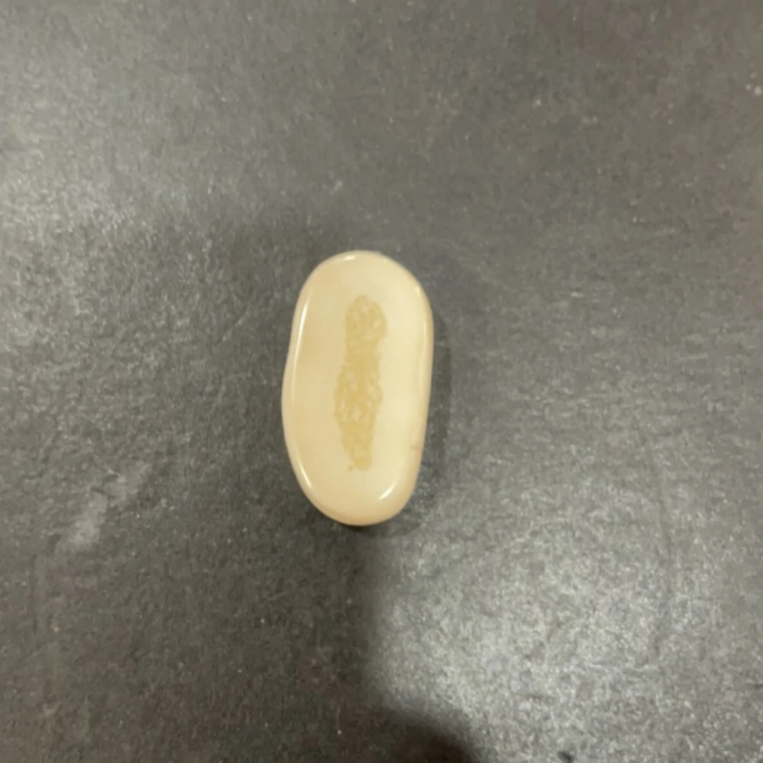 猛犸虬约21.8克饼子配饰TD291