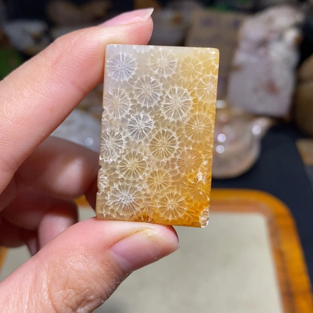 【闪购商品】硅化玉颈饰未镶嵌