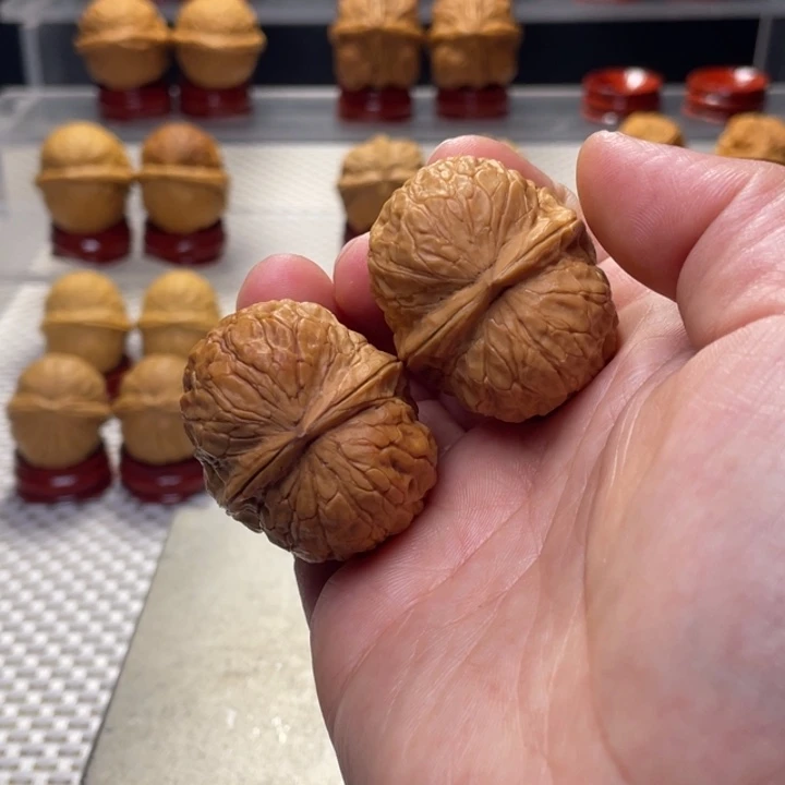 文玩核桃把件37云南铁核