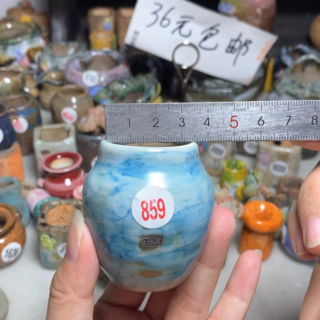 拍5送一个小礼物