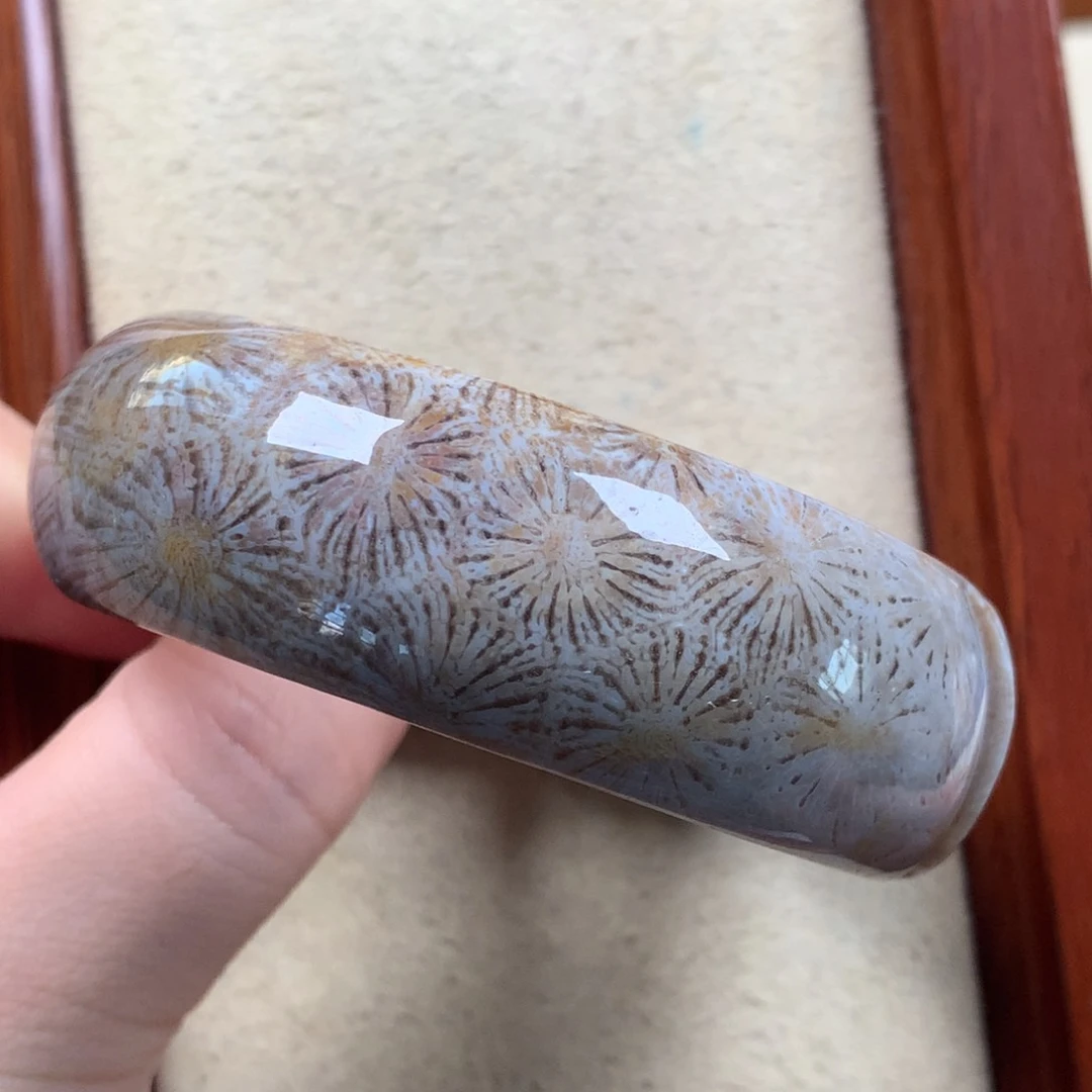 未镶嵌雕刻镯55.2圈口漏500/个。24硅化珊瑚（珊瑚玉）