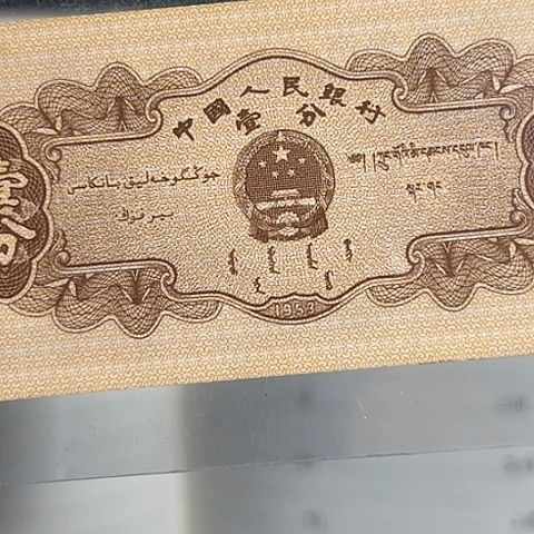 流行表示cghjjjhgghh