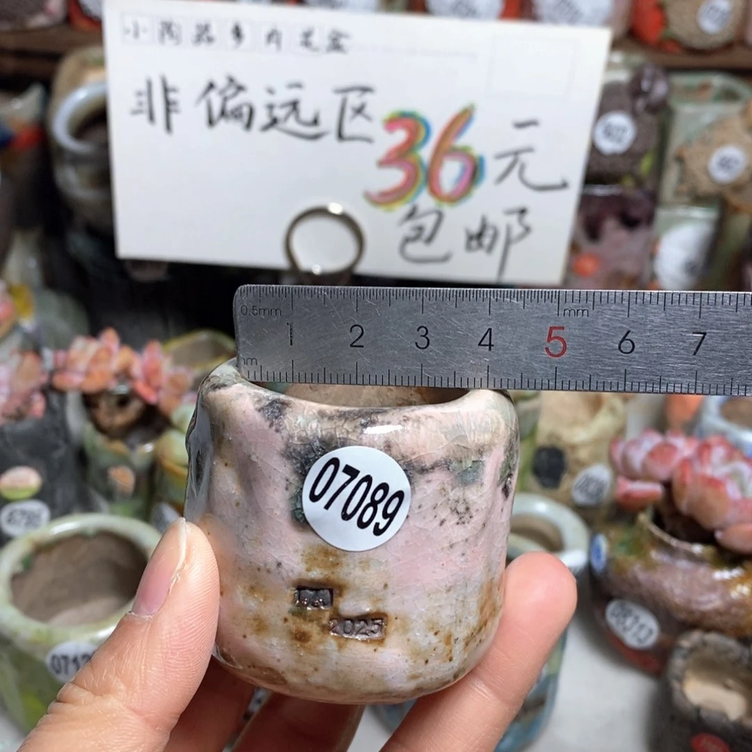 花盆拍3送一个小礼物