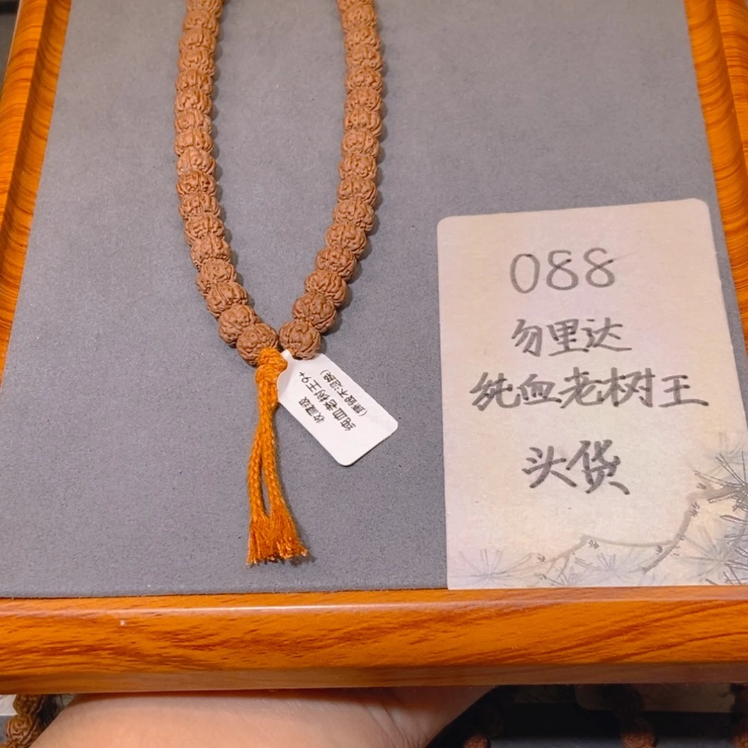 手串金刚菩提088头货勿里达纯血老树王9.1