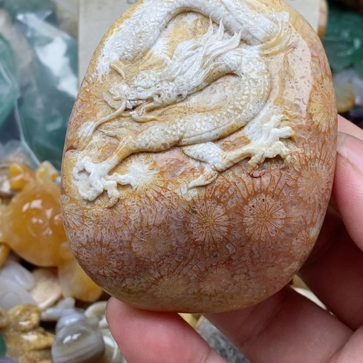 硅化珊瑚（珊瑚玉）未镶嵌颈饰