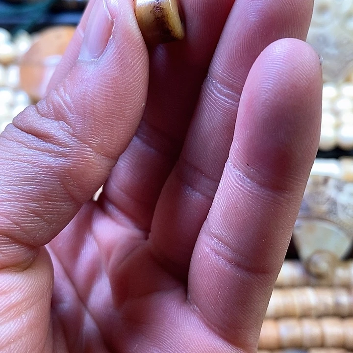 贝壳手串/手链呜呜呜呜呜呜呜呜呜呜