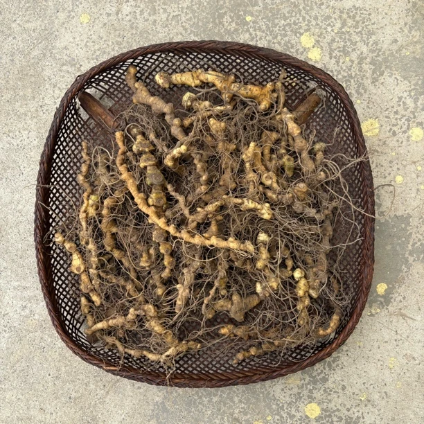 【鲜货】农产品野生多花野生黄米青仙人余粮