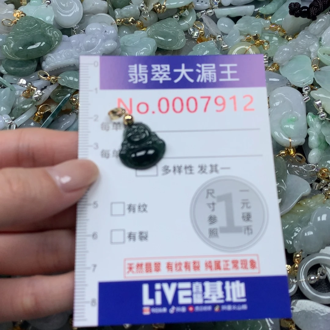 翡翠未镶嵌吊坠(不含链)