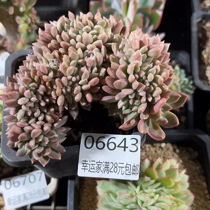 幸运的是我还没遇到过这样