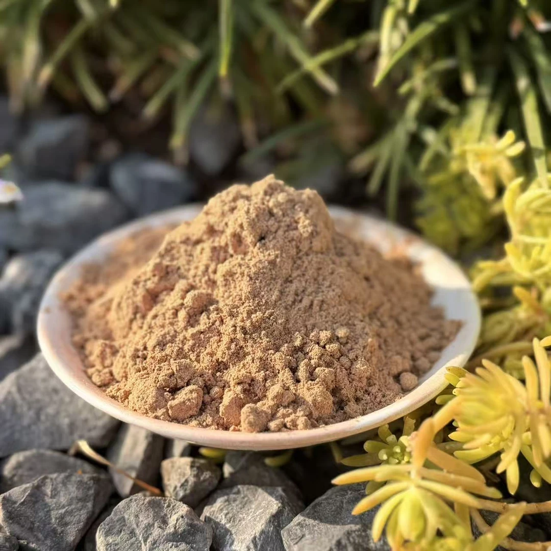古龙涎香粉 房间熏香 客厅香薰