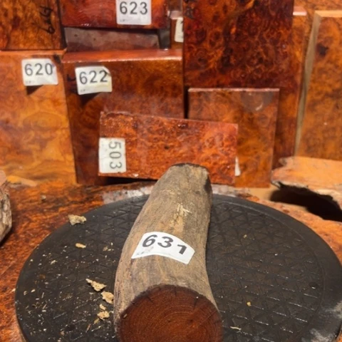 大果紫檀（缅甸花梨）