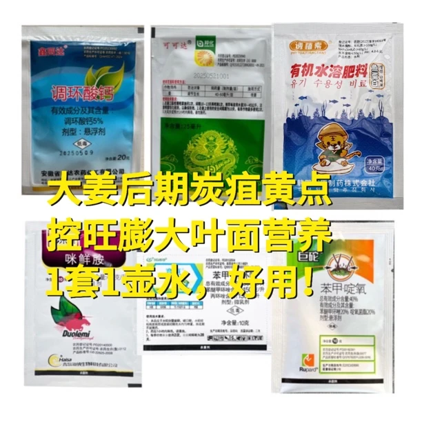 大姜防病增产包，10壶水！炭疽黄点控旺膨大叶面营养