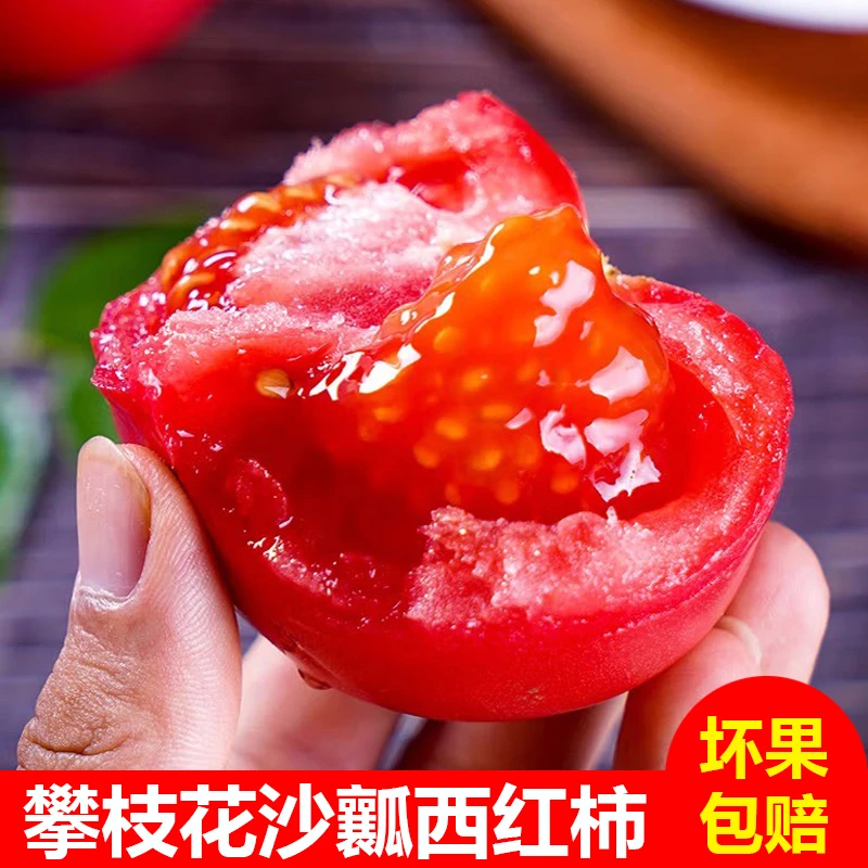 （树上熟）露天种植攀枝花沙瓤西红柿5斤新鲜水果蔬菜