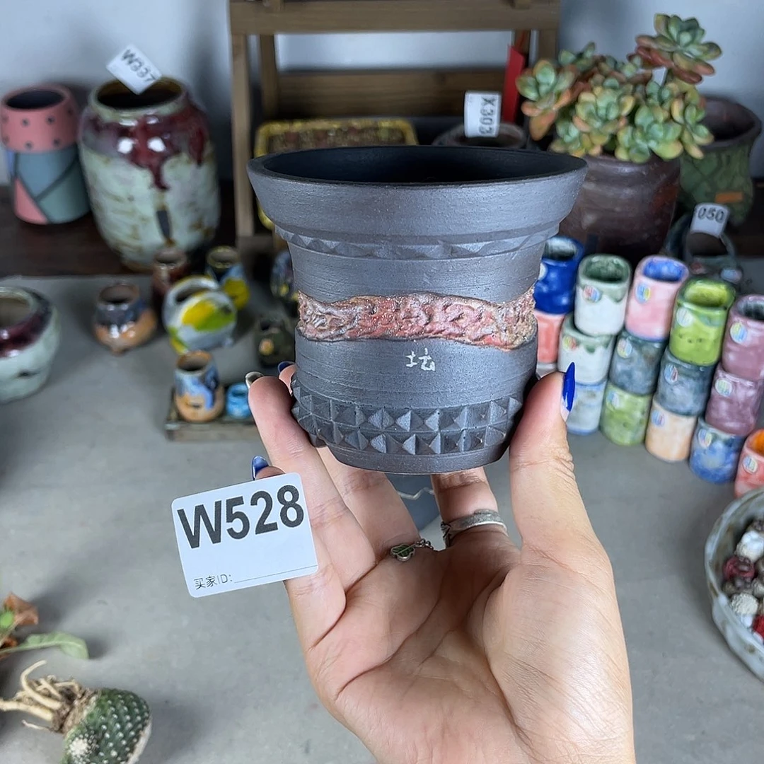 球盆我块根盆 造景盆 内口9